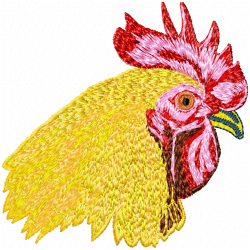 Chickens And Roosters Embroidery Design 4 Chickens And Roosters Embroidery Design 4